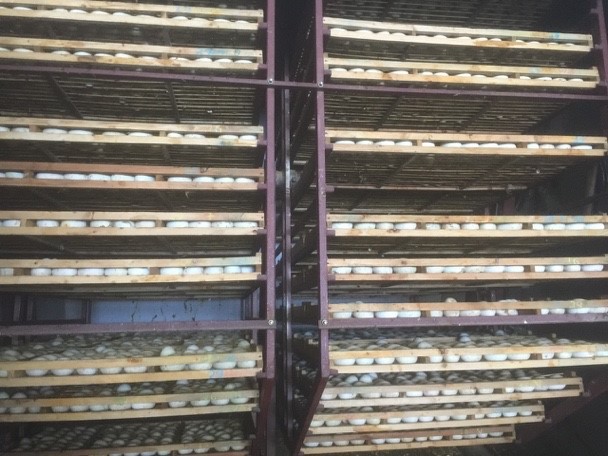 Máy ấp trứng gia cầm sử dụng năng lượng biogas tiết kiệm điện năng