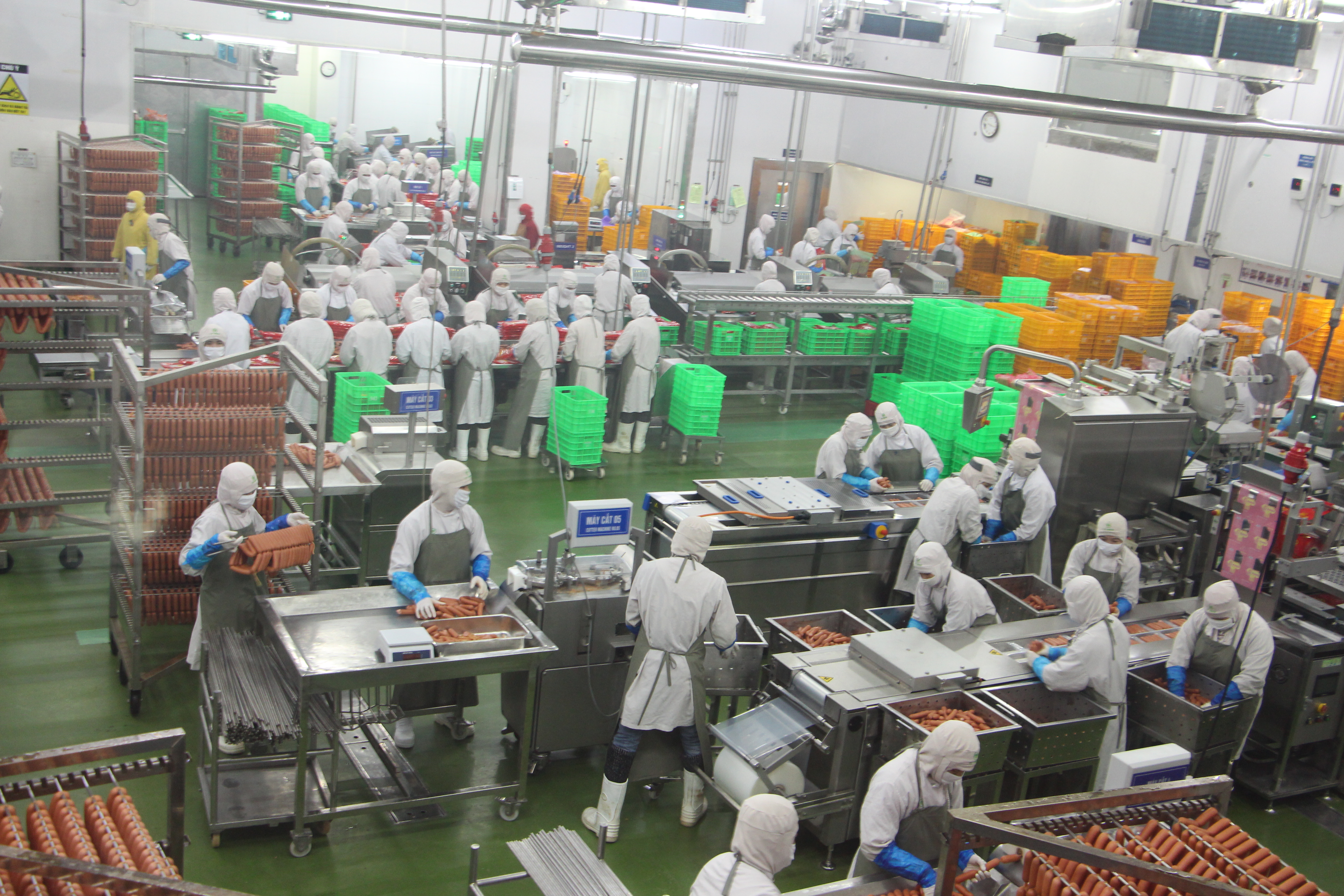 Giải pháp tiết kiệm năng lượng tại Nhà máy chế biến sản phẩm thịt Hà Nội